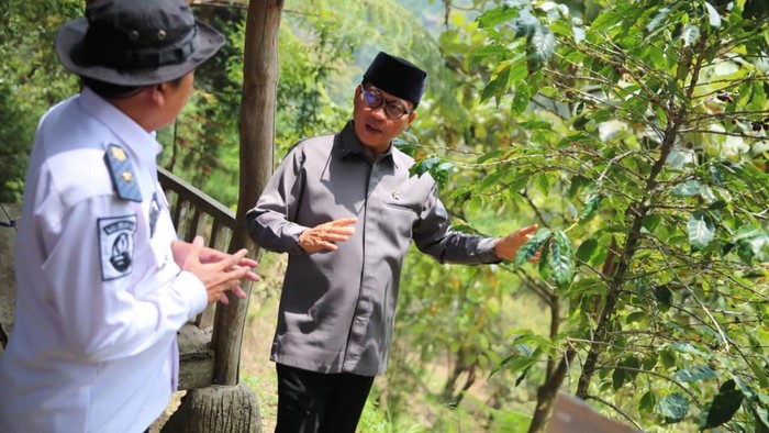 Mendes Dorong Petani Kopi Megamendung Revitalisasi Tanaman untuk Tingkatkan Produktivitas